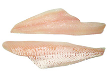 Haddock Fillet