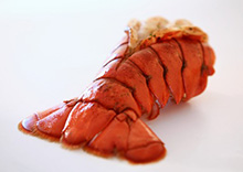 Lobster Tail