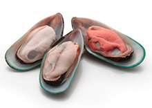 Mussels Green Half Shell