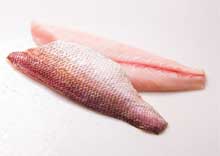 Red Snapper Fillet