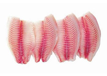 Tilapia Fillet