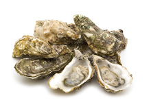 Oyster