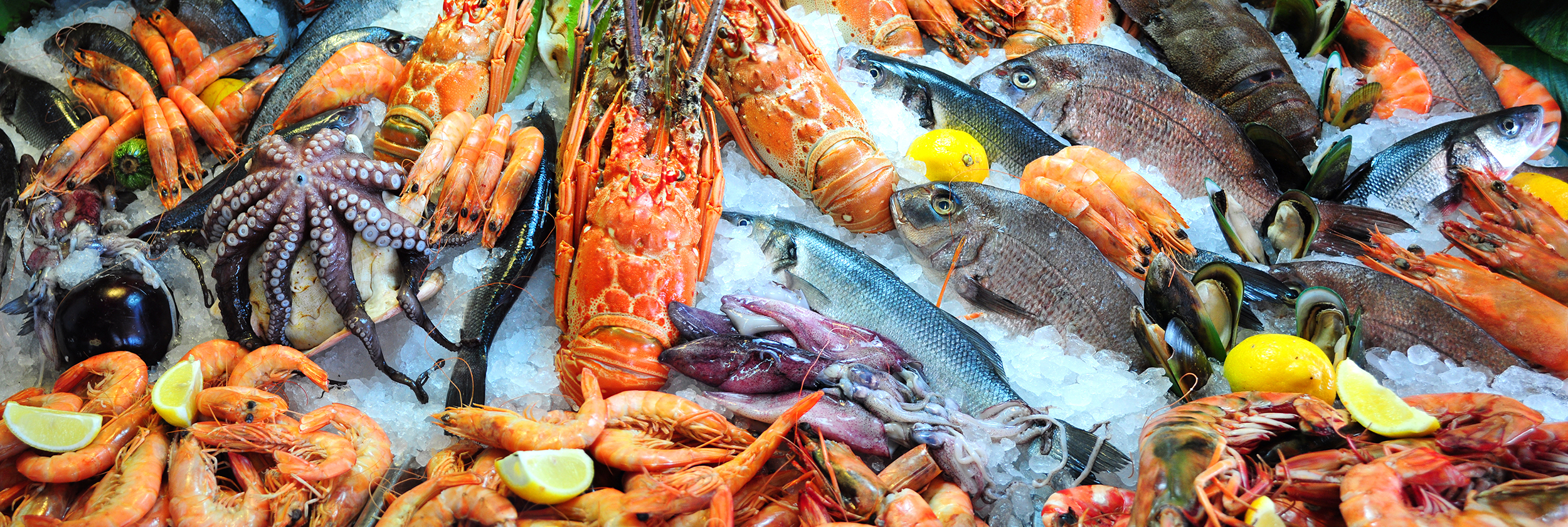Seafood Banner