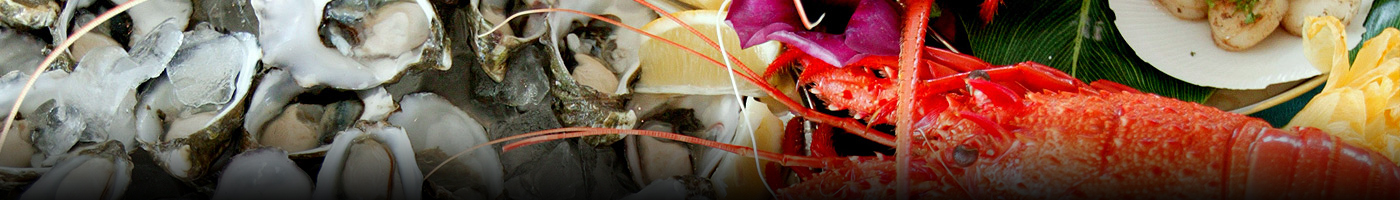 Seafood Banner
